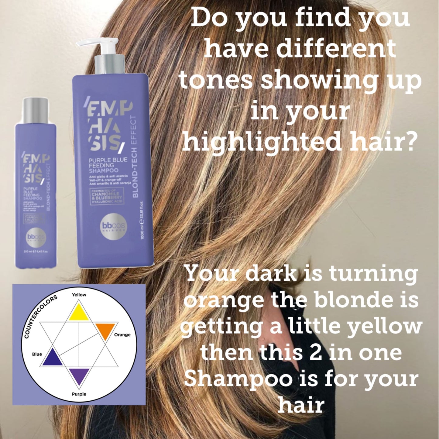 BBCos Italian Emphasis Purple Blue Feeding Shampoo 250ml & 1000ml