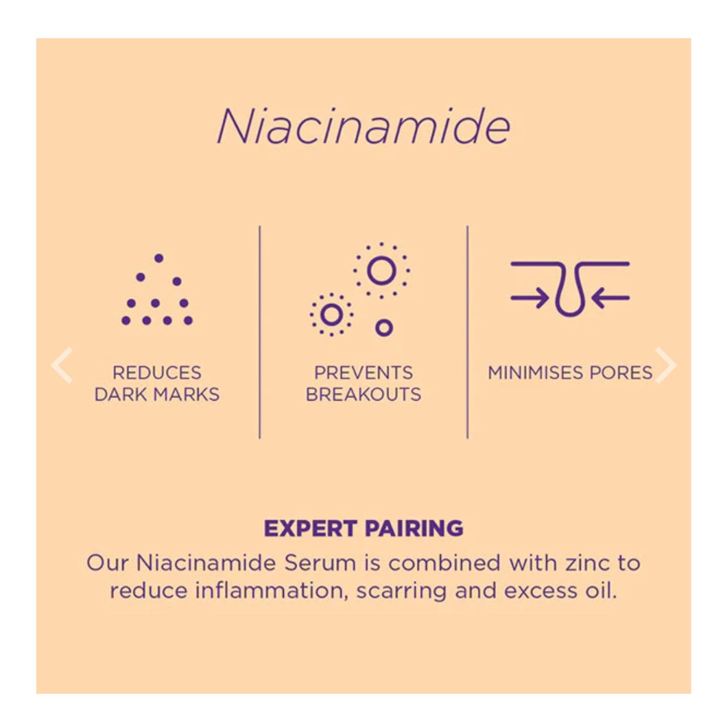 Skin Republic Niacinamide + Zinc Clears Skin & Brightens