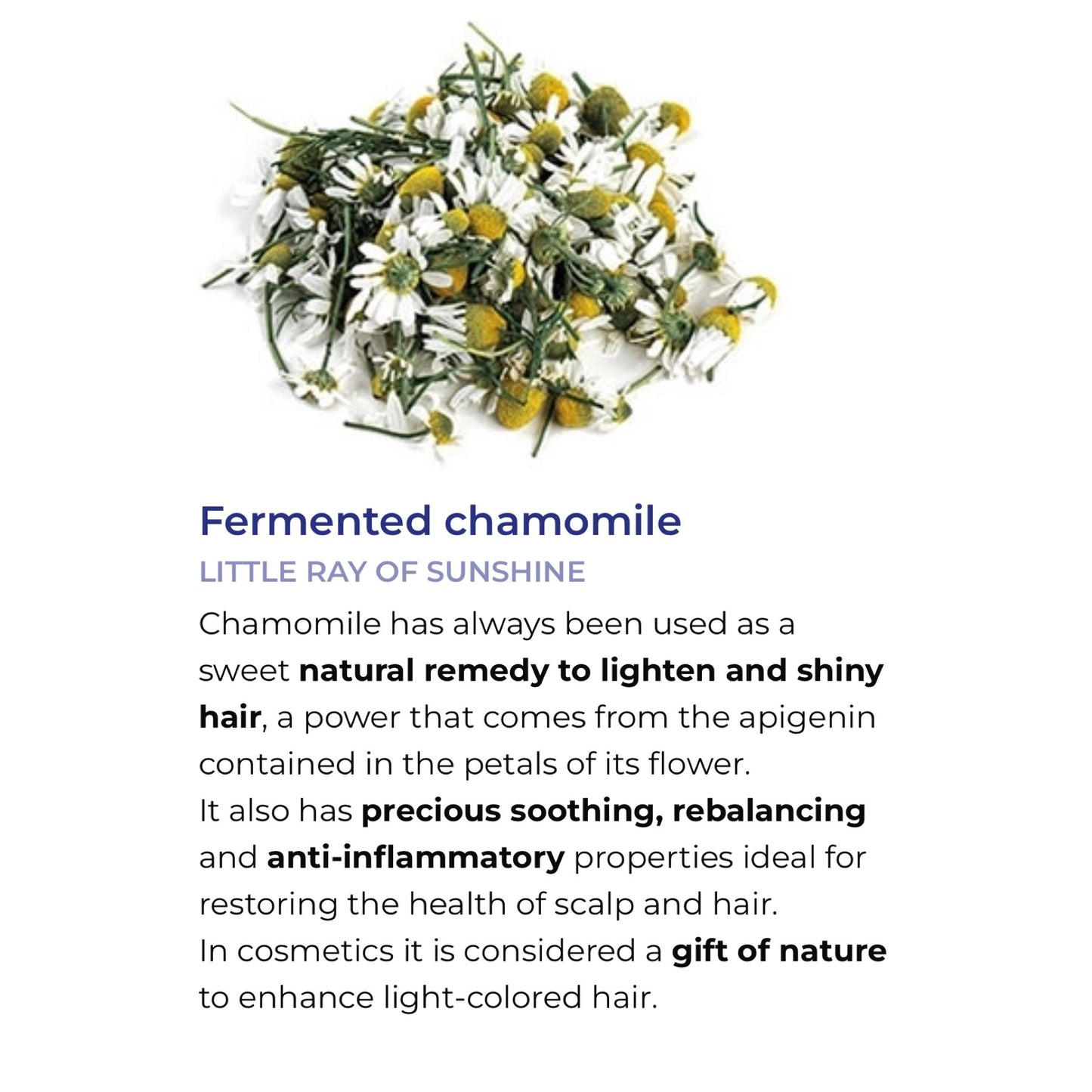 BBCos Emphasis Purple Blue Feeding Mask 250ml & 1000ml