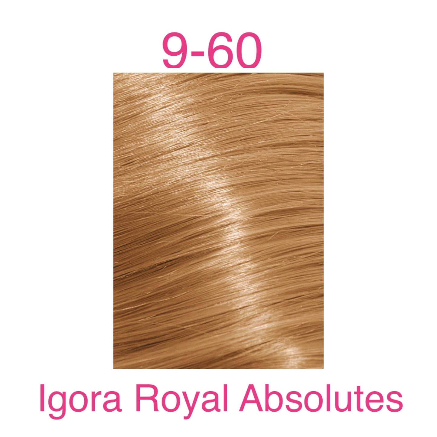 Schwarzkopf Igora Royal Absolutes 60ml DISCONTINUED COLOURS